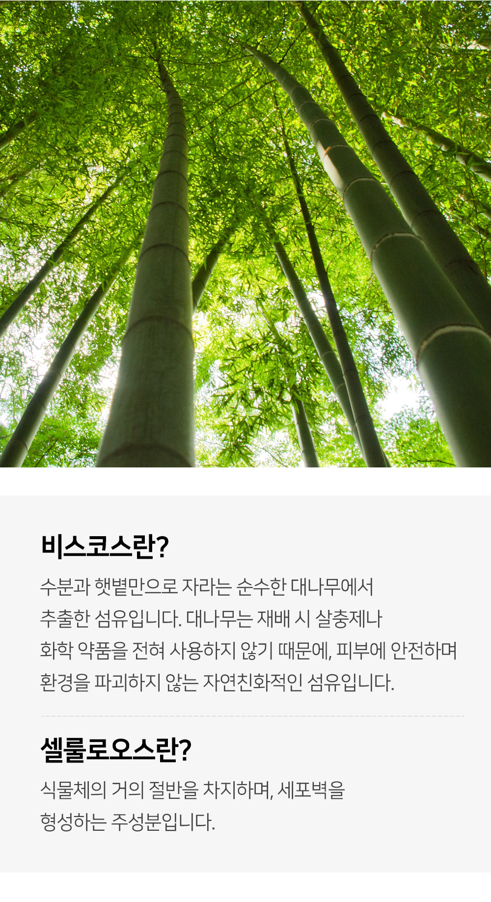 휴대용 압축 수건 타월 빌리 (5*5=25개)